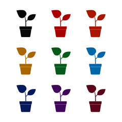 Soil plant pot icon, color set