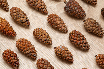pine cones background
