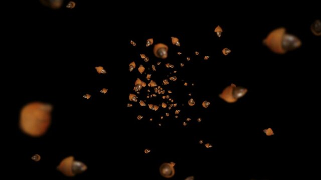 Flying many autumn acorns on black background. Symbol of fall, Oak nuts, Gifts of fall. 3D animation of acorn seeds rotating. Loop animation.