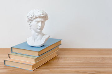 Gypsum copy of David's head on a bookshelf. Michelangelo's David plaster copy bust standing on...