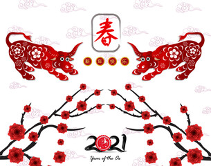 Happy chinese new year 2021 with cherry blossom flower year of the Ox