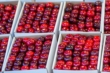 Harvest of red cherries on a market stall..