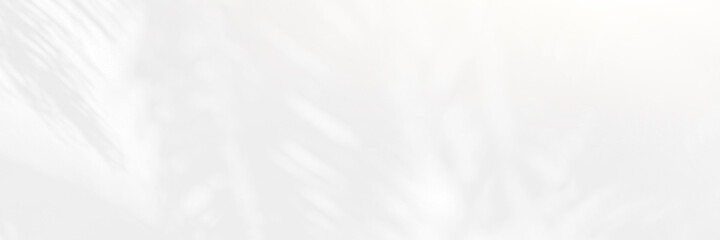 Abstract Shadow. blurred background. gray leaves that reflect concrete walls on a white wall surface for blurred backgrounds and monochrome wallpapers.