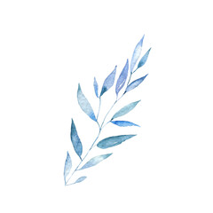 Obraz premium Watercolor leaves illustration