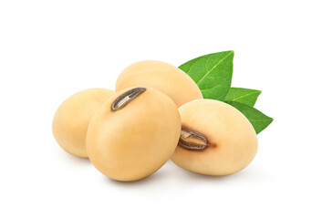 Soybeans  with green leaves  isolated on white background.