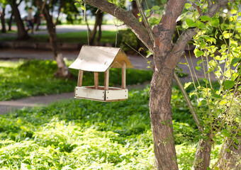 An open empty bird feeder made of plywood hangs on a branch of a young tree