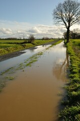 Fototapeta na wymiar A flooded country lane in Brittany