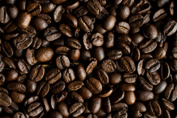 Fresh arabica coffee beans as a texture or background.