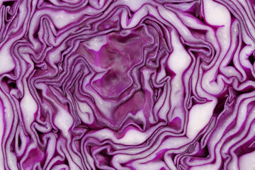 Close-up of Red cabbage texture