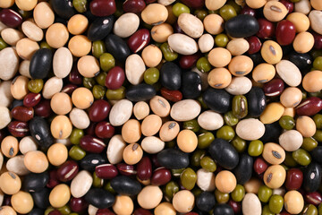 Red bean, Mung bean, Black bean, White bean, Soybean