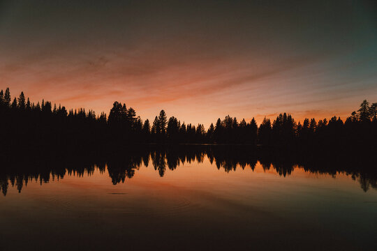 Majestic sunset over silhouetted forest trees and lake, Redding, California, USA
