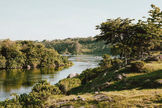 Sunny scenic view of Nile River, Ginger, Uganda
