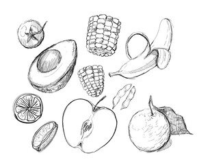 Fruits set collection apple orange lime banana corn avocado hand drawn sketches white isolation background
