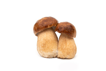 the Royal mushroom on white background