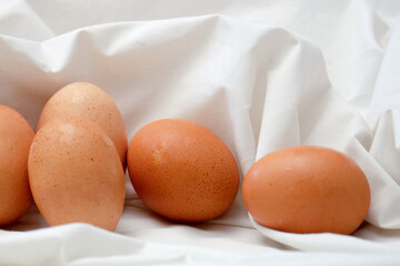 Close-up view of raw chicken eggs on a white cloth background