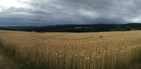 Obraz premium Fields