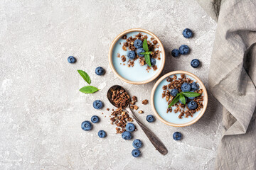 Healthy breakfast of berry yogurt with chocolate granola and blueberry
