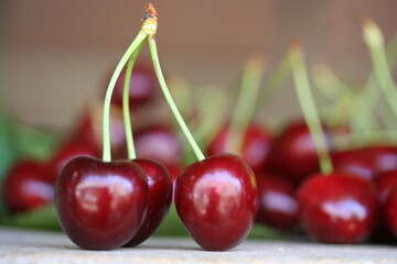 Cherry | Cerise