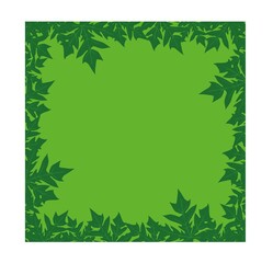 green leaf background, vector illustration