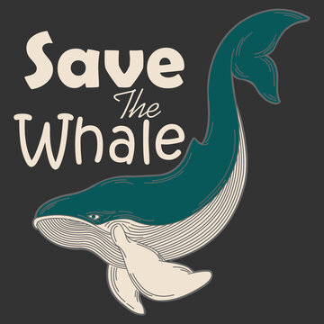 vector illustration of a big whale 
