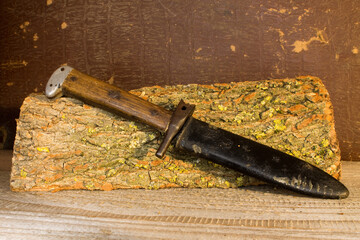 An old hunting knife lies on a piece of wood