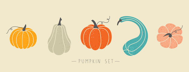 Set of pumpkins of various shapes and colors. Colorful and cute elements for Halloween, Thanksgiving and autumn season. Collection of different isolated flat vector objects