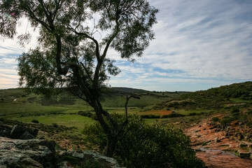 Fototapeta na wymiar Gawler Ranges National Park, South Australia