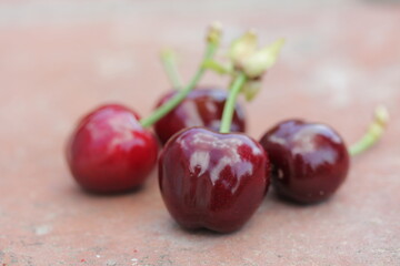 Cherry | Cerise