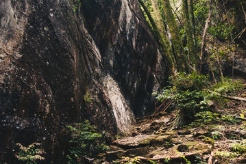 山の登山道の景色