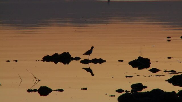 Twilight at the Salton Sea