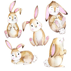 Cute Watercolor bunny, Funny Bunny illustration
