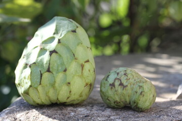 Obraz premium Cherimoya | chérimole