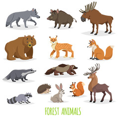 Set of woodland and forest animals. Europe and North America fauna collection. Wolf, boar, moose, bear, lynx, fox, raccoon, wolverine, deer, hedgehog, hare, squirrel and badger.
