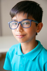 Portrait of content Asian little boy in glasses. Lovely attractive kid posing in classroom after lesson, smiling and looking at camera. Front view. People, study and appearance concept