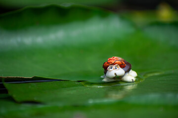 Macro of a small turtle-like figurine on a green leaf from a lotus flower pond at Bukhansan National Park. 
