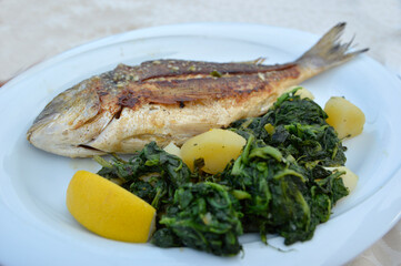 grilled sea fish with salad and potatoes at the plate