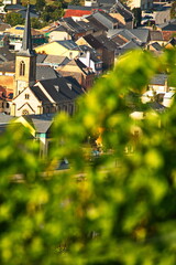 Blick auf einen Ort mit Kirchturm in Luxembourg aus einem Weinberg  heraus