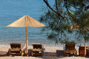 empty beach with calm blue sea, straw umbrella with sun beds  and branch of pine tree, Rovinj, Croatia