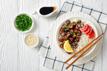 Teriyaki baked tofu with rice, top view, flat lay