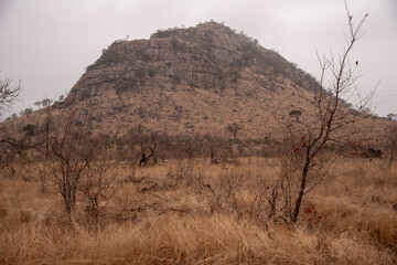 Fototapeta premium A rocky hill in on safari in South Africa.