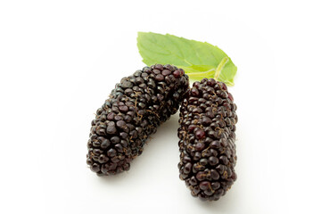 fresh and ripe mulberries background
