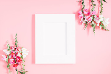 Beautiful flowers composition. Photo frame, colored flowers on pink background. Flat lay, top view, copy space