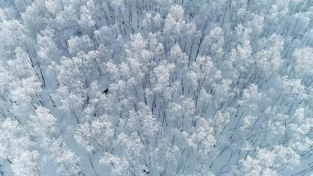 Inner Mongolia winter north china landscape