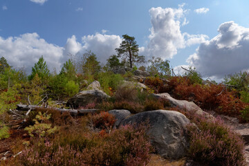 Hiking trail at the Cailleau rock in Fontainebleau forest