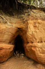 Cave by the sea, in the sand with a tree root