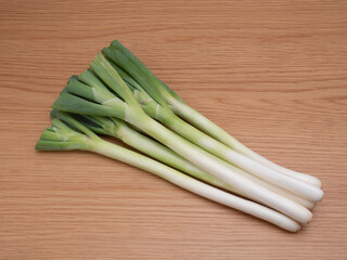 ナガネギ