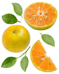 Fresh Tangerine Citrus with leaf on white, Collection of Mandarine orange isolated on white background with clipping path.