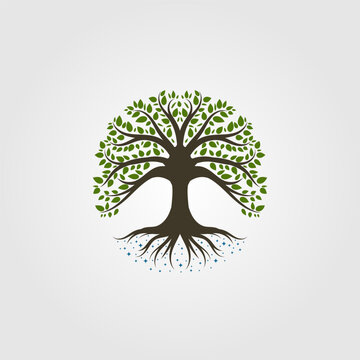 tree logo vintage nature symbol vector illustration design