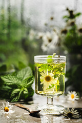 A glass of tea with mint and camomile