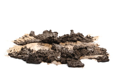 Mud pile isolated on white background, top view